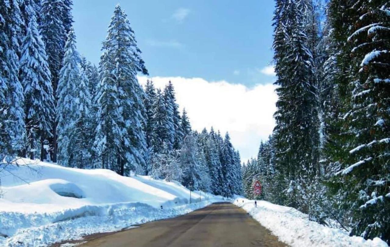 Appartamento La Tana del Gufetto Marilleva Esterno foto