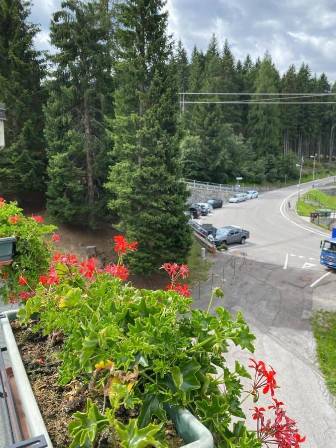 Appartamento La Tana del Gufetto Marilleva Esterno foto
