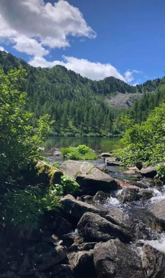 Appartamento La Tana del Gufetto Marilleva Esterno foto