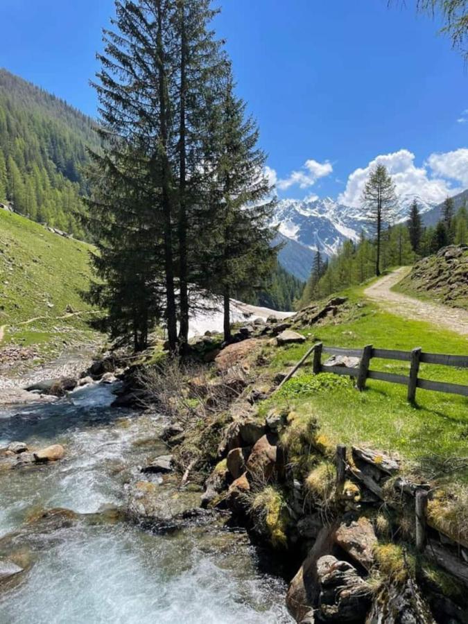 Appartamento La Tana del Gufetto Marilleva Esterno foto